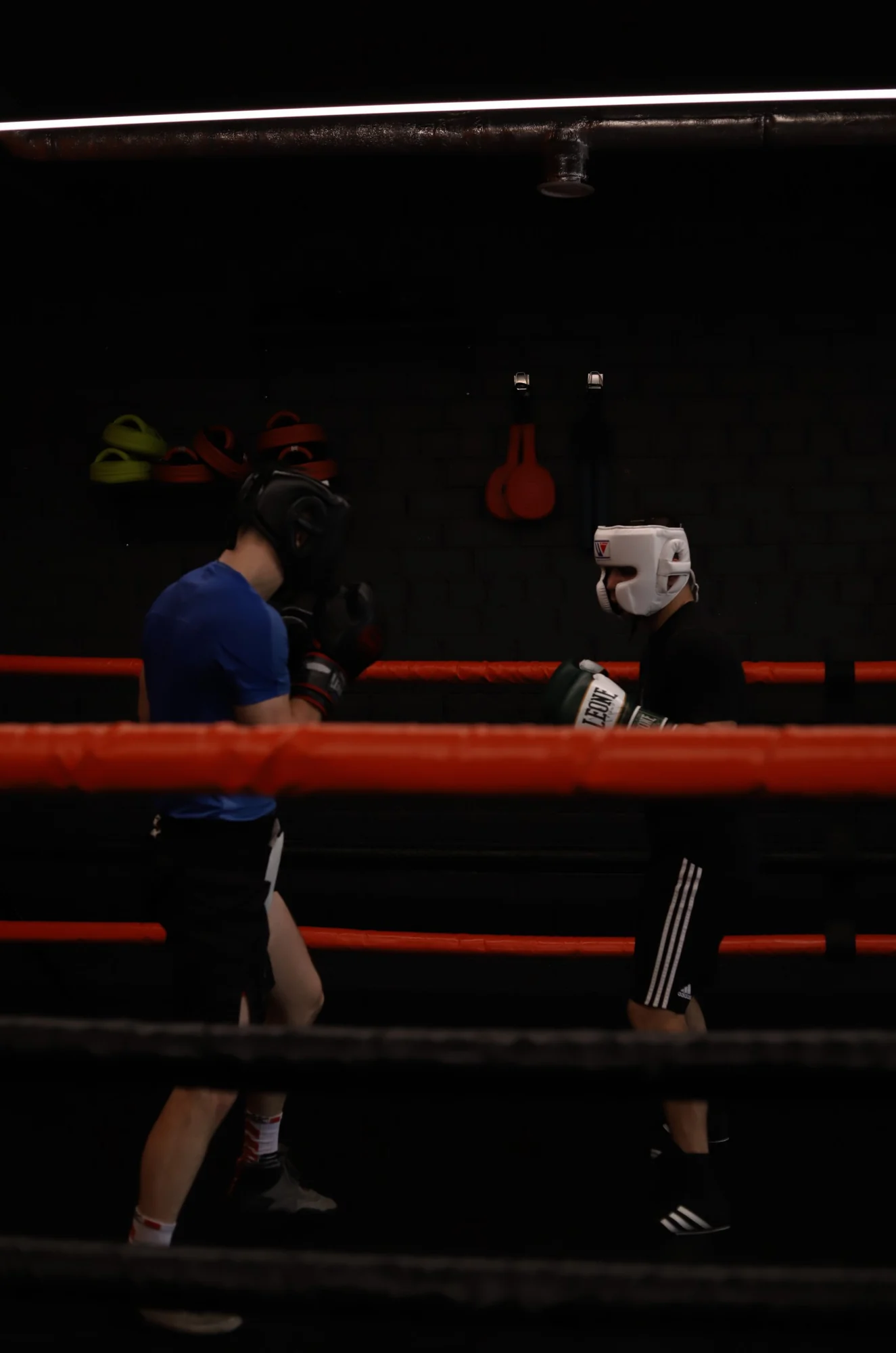 Спарринг